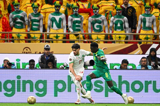 اللامبالاة والسنغال اللامبالاة والسنغال