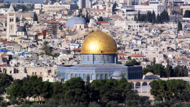 وكانت فلسطين في قلوب العديد من الشعراء