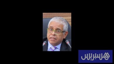 صعود السياسة ونضج النخب