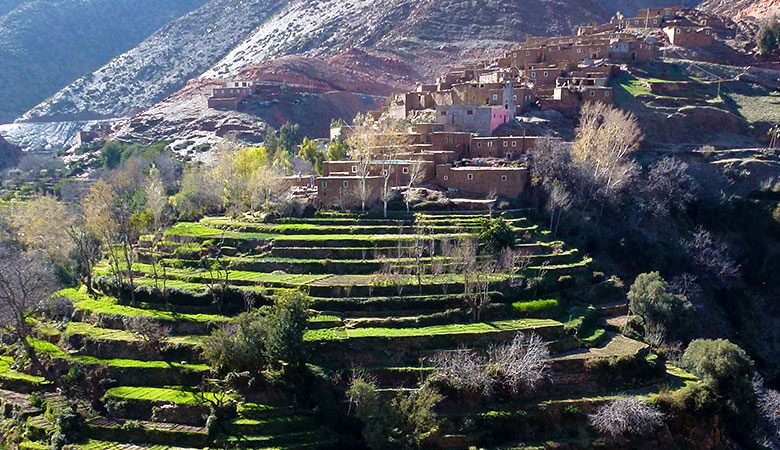 وزن البوادي في اقتصاد وسياسة المغرب محمد بن عزيز