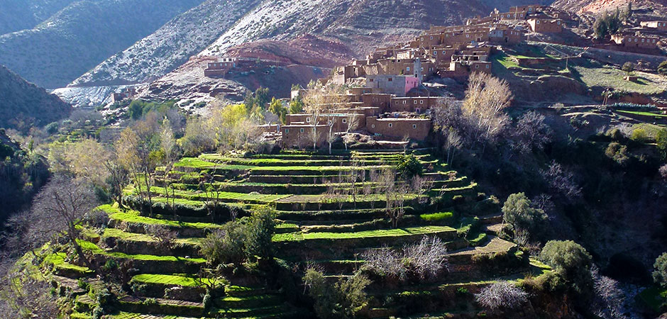 وزن البوادي في اقتصاد وسياسة المغرب محمد بن عزيز