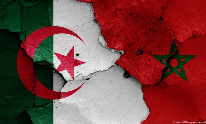 تحليل: الجزائر-المغرب.. ماذا سيفعل الاغتراب بالجيل الجديد؟
