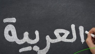 في اليوم العالمي.. المدافعون عن اللغة العربية: في مواجهة إعلان الحرب وغياب سياسة لغوية واضحة في المغرب يعمق الأزمة - صوت المغرب